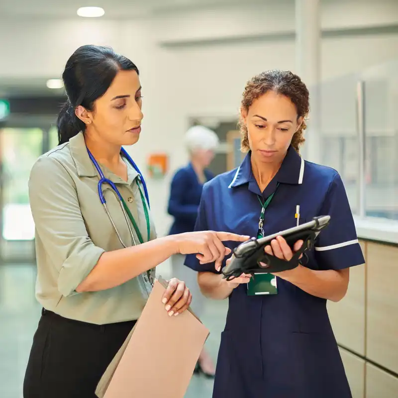 Hospital colleagues checking medical records database.