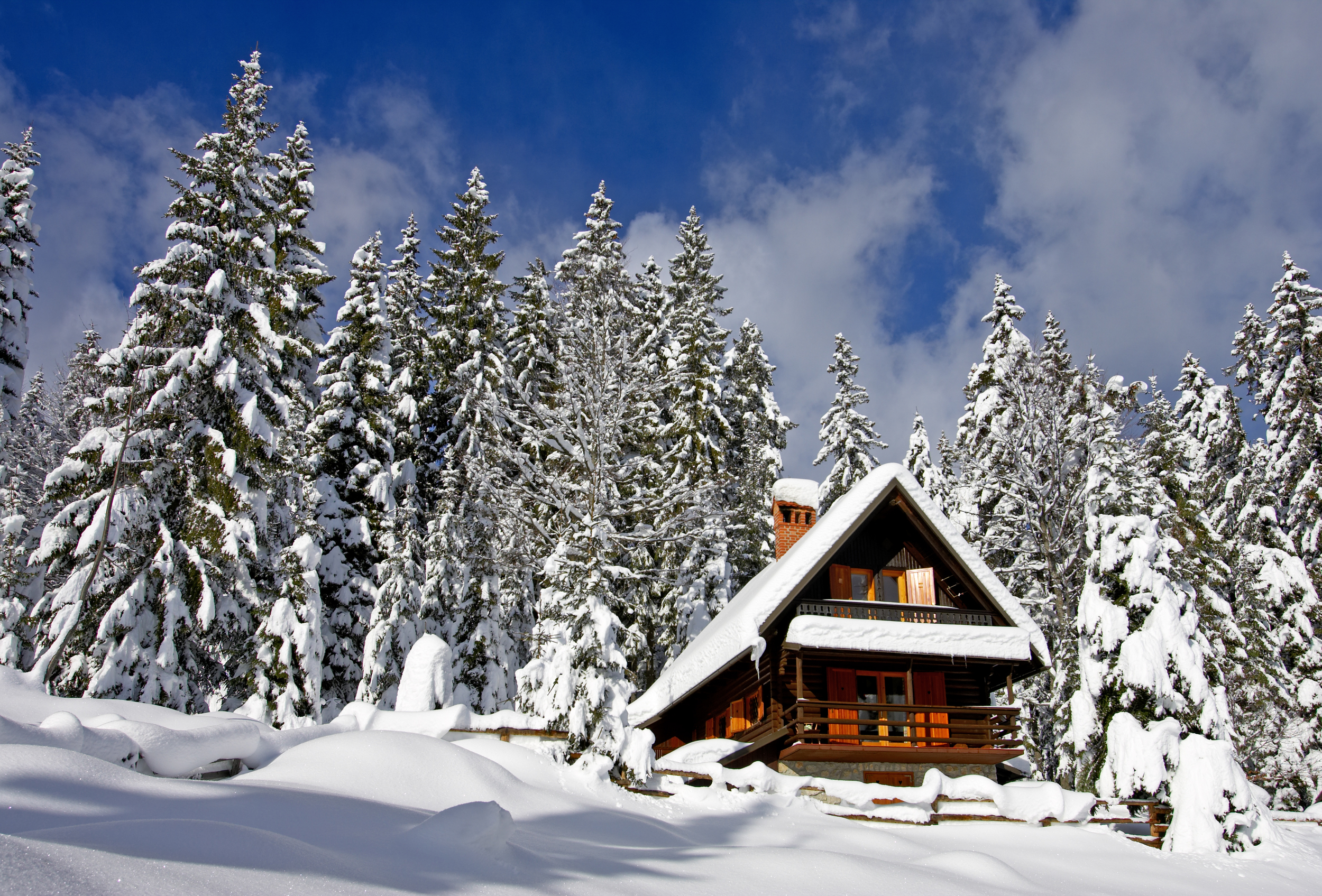 log cabin in a wintery forest