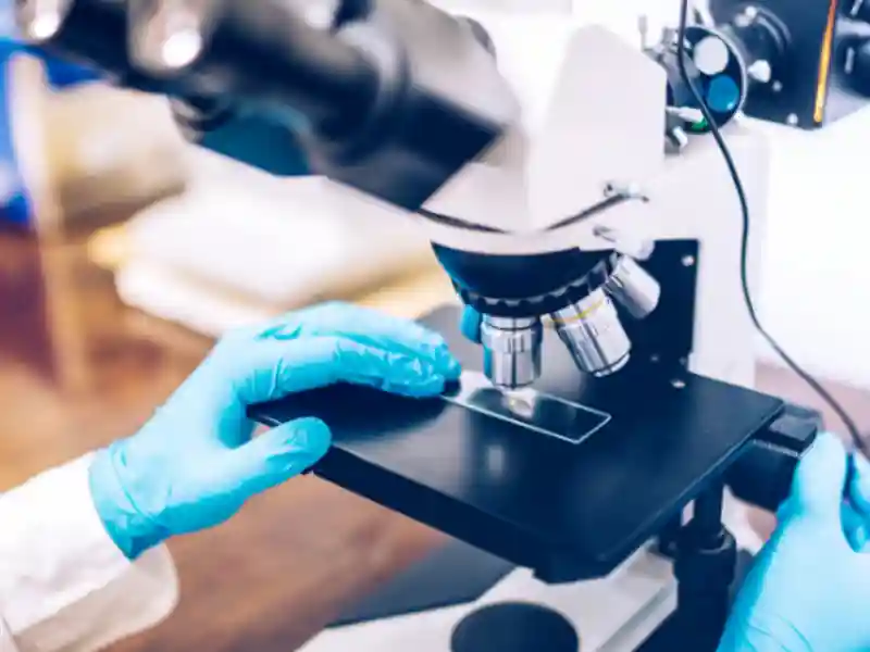 A laboratory technician prepared a slide for microscopic observation.