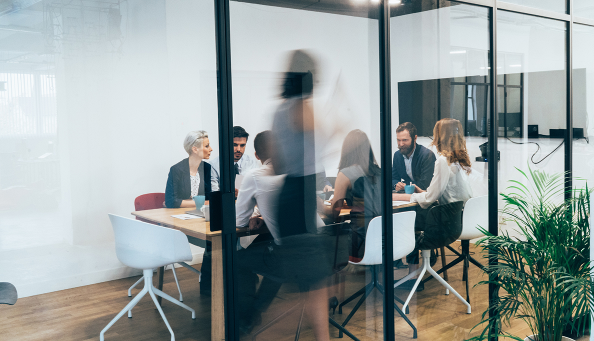 Group of professionals having a meeting.