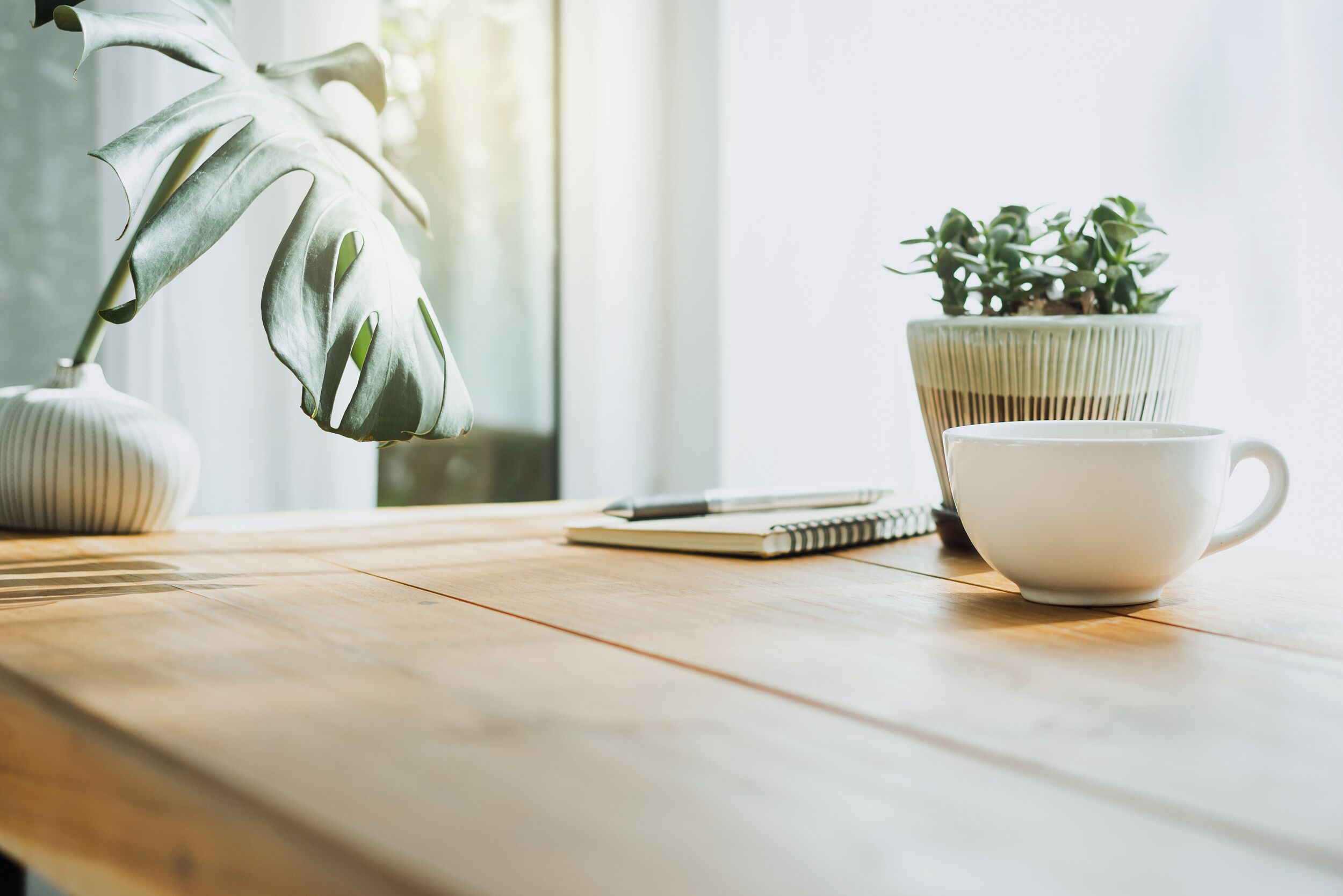 Closeup white cup of coffee with small trees and green leaf in vase on wooden table.